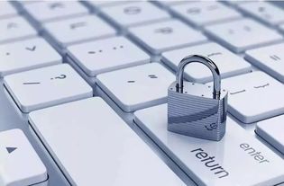 網(wǎng)絡(luò)安全宣傳周 網(wǎng)絡(luò)與信息安全軟件開發(fā)小常識(shí)